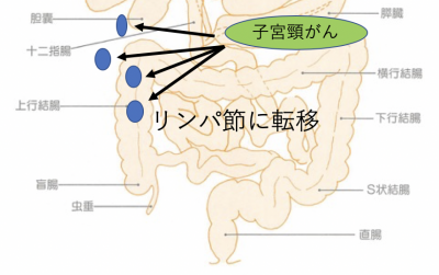 いとうあさこ 肌